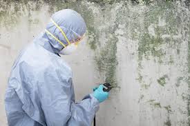 Best Crawl Space Mold Remediation  in North Miami, FL